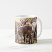 Mug Animaux de bébés cutest | Svalbard Reindeer (Devant droit)