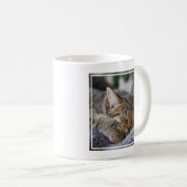 Mug Animaux de bébés cutest | Tabby Kitten Sommeil (Devant droit)