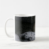 Mug Animaux de bébés cutest | Tiny Kitten Dormir (Gauche)