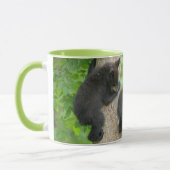 Mug Animaux de bébés cutest | Trois jeunes petits ours (Gauche)