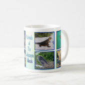 Mug Animaux des îles de Galapagos (Devant droit)