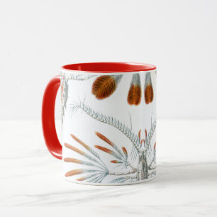 Mug Animaux océaniques vintage, Copépodes par Ernst Ha