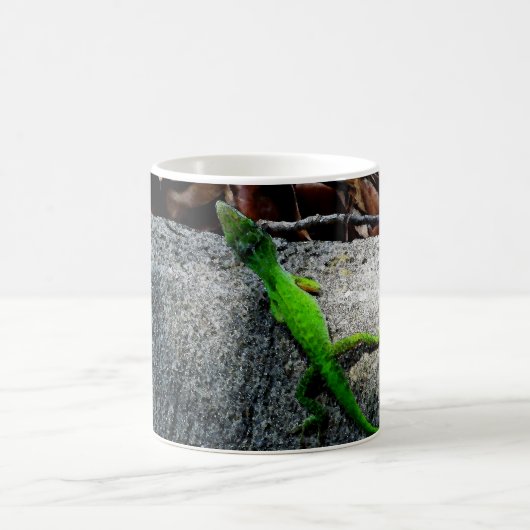 Mug Anole Lizard 6704 (Centre)