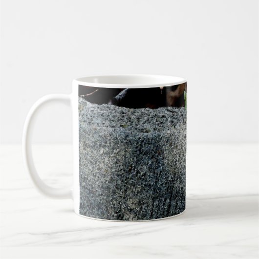 Mug Anole Lizard 6704 (Gauche)