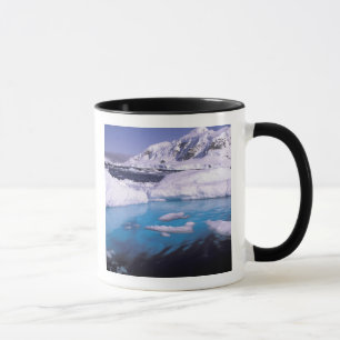 Mug Antarctique. Expédition à travers les paysages de
