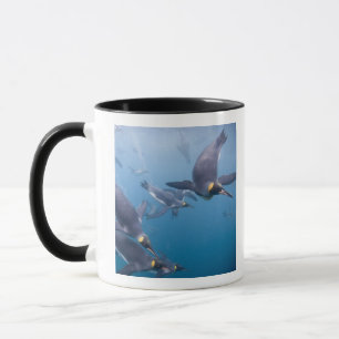 Mug Antarctique, île de Géorgie du Sud (Royaume-Uni),