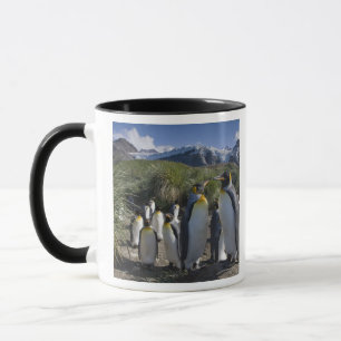 Mug Antarctique, île de Géorgie du Sud Royaume-Uni), r