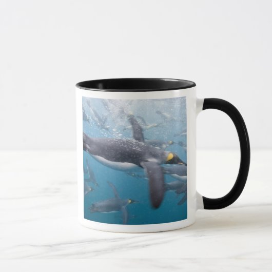 Mug Antarctique, île de Géorgie du Sud UK (Droite)