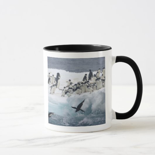 Mug Antarctique, île Paulet. Pingouins d'Adelie (Droite)