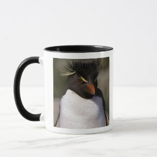 Mug Antarctique, îles subantarctiques, Sud 5