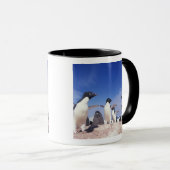 Mug Antarctique, Manchot Adélie Pygoscelis (Devant droit)