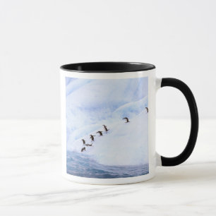 Mug Antarctique, péninsule Antarctique. Écran