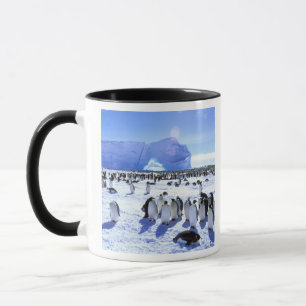 Mug Antarctique, péninsule Antarctique, mer de Weddell