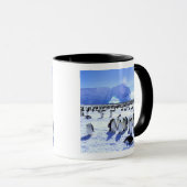 Mug Antarctique, péninsule Antarctique, mer de Weddell (Devant droit)