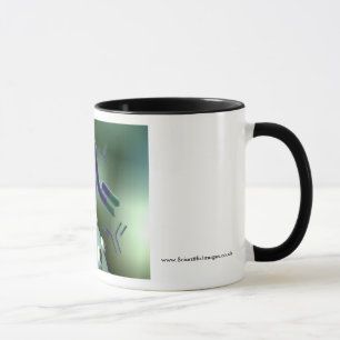 Mug Anticorps monoclonaux