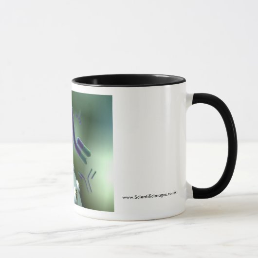 Mug Anticorps monoclonaux (Droite)