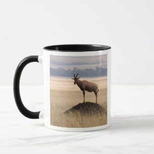 Mug Antilope de Tsessebe sur la surveillance pour des