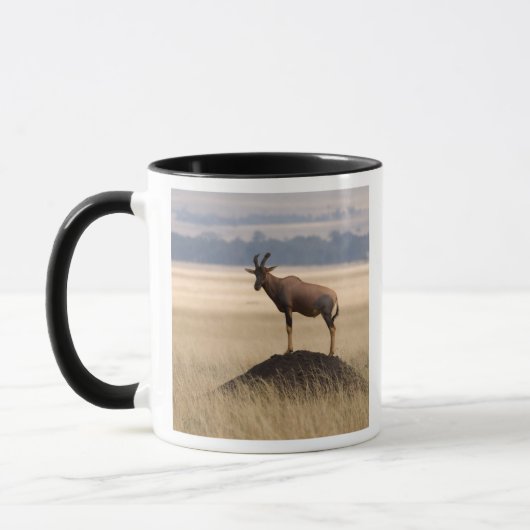 Mug Antilope de Tsessebe sur la surveillance pour des (Gauche)