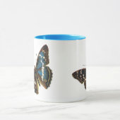 Mug Apatura iris (Centre)