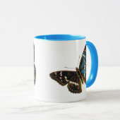 Mug Apatura iris (Devant droit)