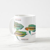 Mug Apistgramma (Devant gauche)