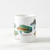 Mug Apistgramma (Centre)