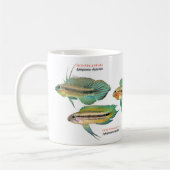 Mug Apistgramma (Gauche)