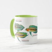 Mug Apistgramma (Devant gauche)