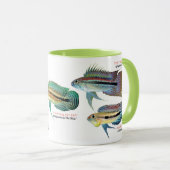Mug Apistgramma (Devant droit)