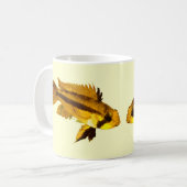 Mug Apistogrammas Cichlidé nain (Devant gauche)