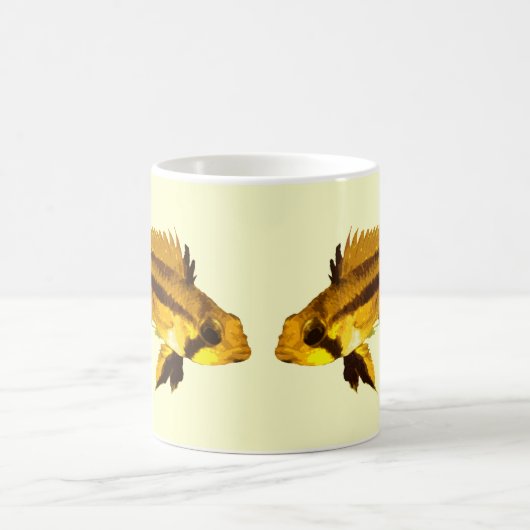 Mug Apistogrammas Cichlidé nain (Centre)