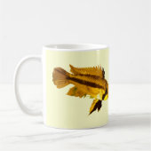 Mug Apistogrammas Dwarf Cichlid (Gauche)