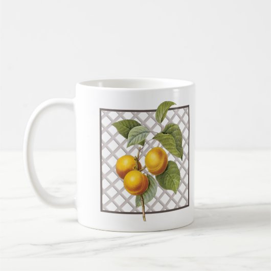 MUG APRICOTS (Gauche)