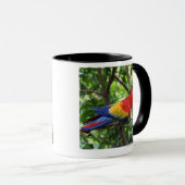 Mug Ara d'écarlate sur le membre d'arbre (Devant droit)