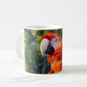 Mug Ara oiseau