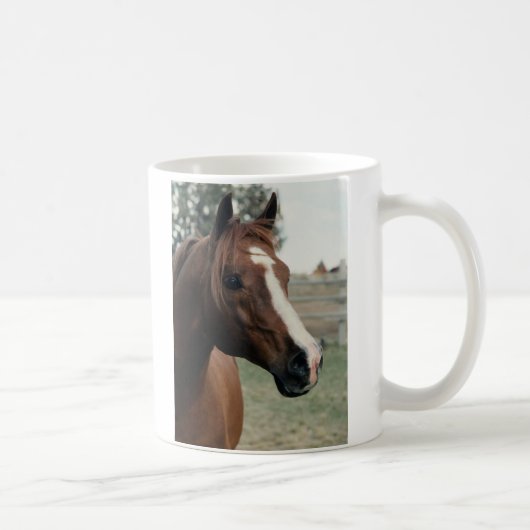 Mug Arabian au Pasture (Droite)