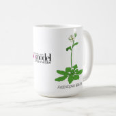 Mug Arabidopsis (Devant droit)