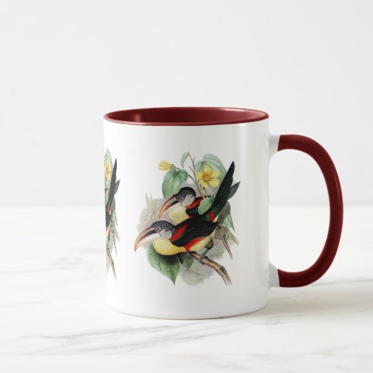 Mug Aracari Bouclé-crêté (Droite)