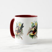 Mug Aracari Bouclé-crêté (Devant gauche)