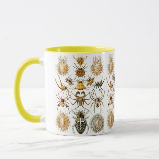 Mug Arachnida (Araignées) Ernst Haeckel Fine Art (Gauche)
