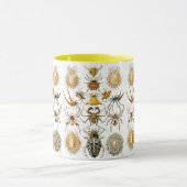 Mug Arachnida (Araignées) Ernst Haeckel Fine Art (Centre)