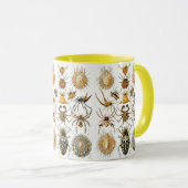 Mug Arachnida (Araignées) Ernst Haeckel Fine Art (Devant droit)