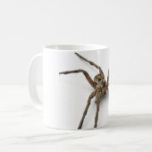 Mug araignée (Devant gauche)