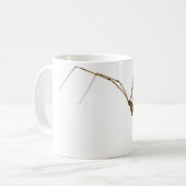 Mug Araignée (Devant gauche)