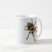 Mug Araignée mygale (Brachypelma smithi). (Devant droit)