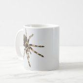 Mug Araignée mygale (Brachypelma smithi). (Devant gauche)