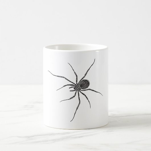 Mug Araignée noire aux longues pattes arachnide effray
