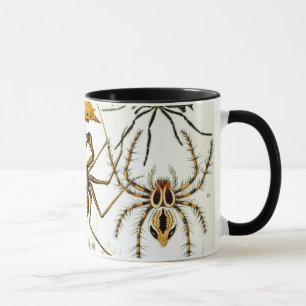 Mug Araignées ou arachnides vintages par Ernst Haeckel