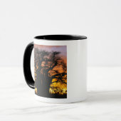 Mug arbre baobab africain, Adansonia digitata, (Devant gauche)