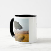 Mug Arbre d'acacia isolé dans les plaines herbeuses, M (Devant gauche)